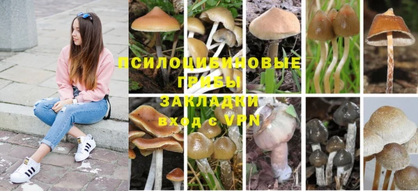 кокс Алзамай
