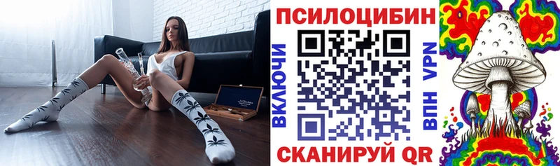 ссылка на мегу ссылки  Добрянка  Псилоцибиновые грибы Cubensis 