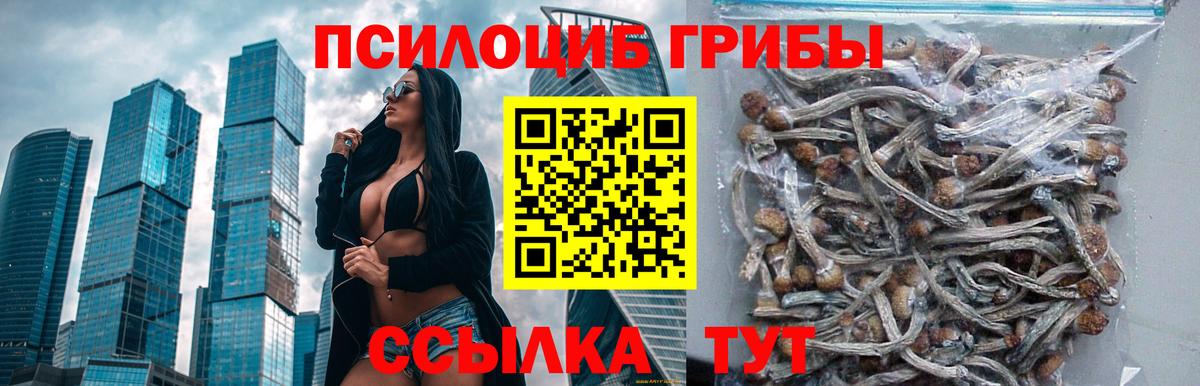 Добрянка  Псилоцибиновые грибы ЛСД  Галлюциногенные грибы Magic Shrooms  закладки  Вход с VPN 