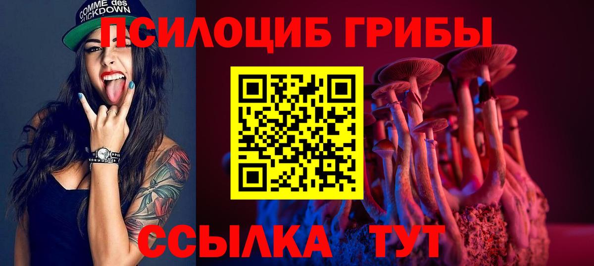 Галлюциногенные грибы Psilocybe Добрянка